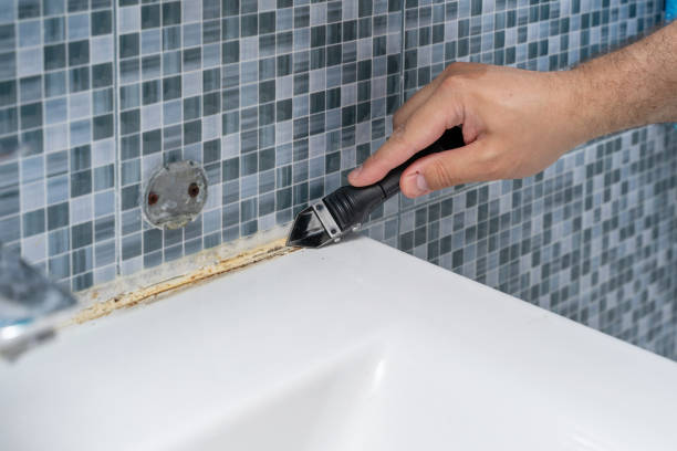 Best Commercial Mold Removal  in South Carthage, TN